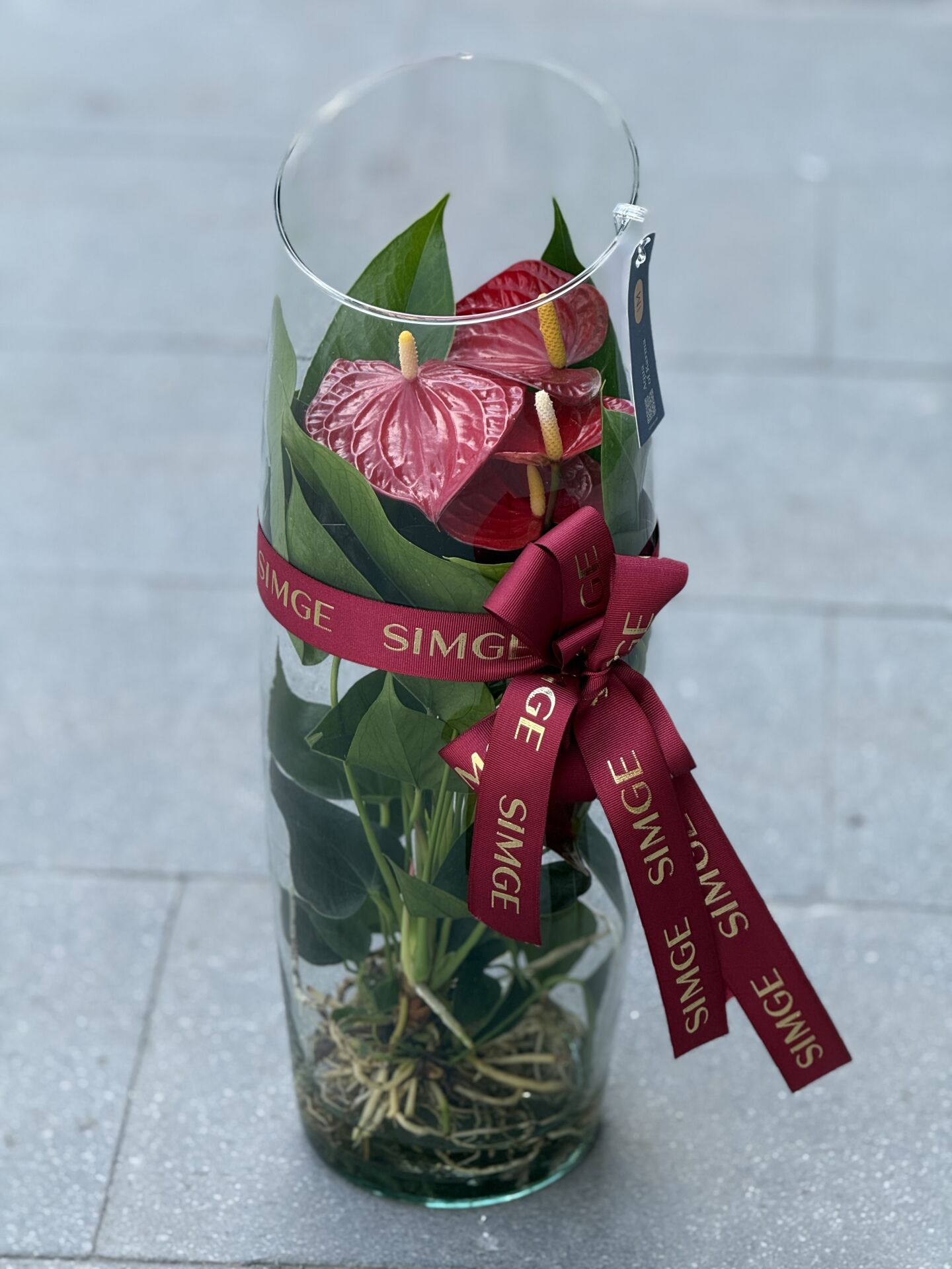 Uzun Silindir Cam Vazoda Anthurium Bitkisi